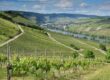 Achat propriété viticole : la demande pour les domaines de luxe continue-t-elle de croître ?