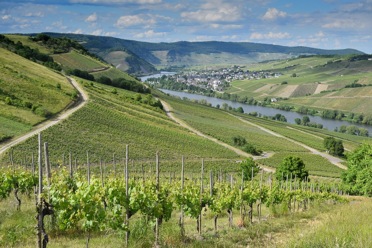 domaine-immobilier-de-luxe Achat propriété viticole : la demande pour les domaines de luxe continue-t-elle de croître ?
